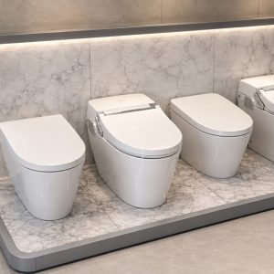 Kệ trưng bày bồn vệ sinh
